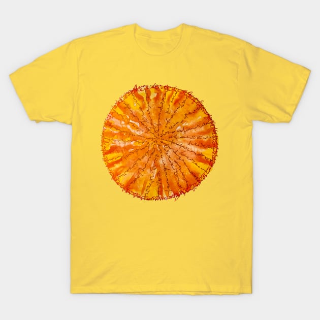 Orange Sun Mandala T-Shirt by Heartsake